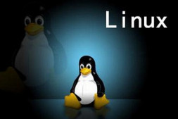 Linux服务：NTP时间服务器