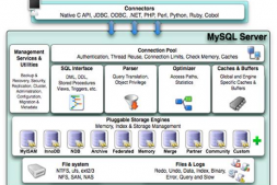 MySQL特性及架构