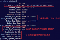MySQL主从复制配置